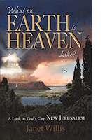 What on Earth is Heaven Like?